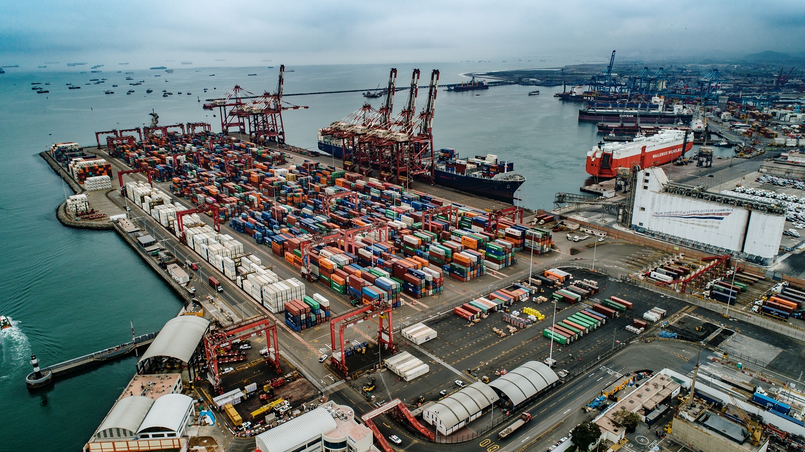 Exportaciones peruanas superarían los US$66.000 millones en el 2024, estima Mincetur granefa line